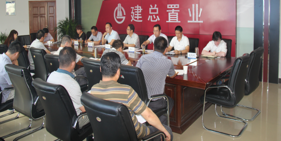 公司召開工作推進(jìn)落實(shí)會