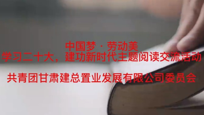 公司團委舉辦“學(xué)習(xí)二十大 建功新時代”主題閱讀交流活動